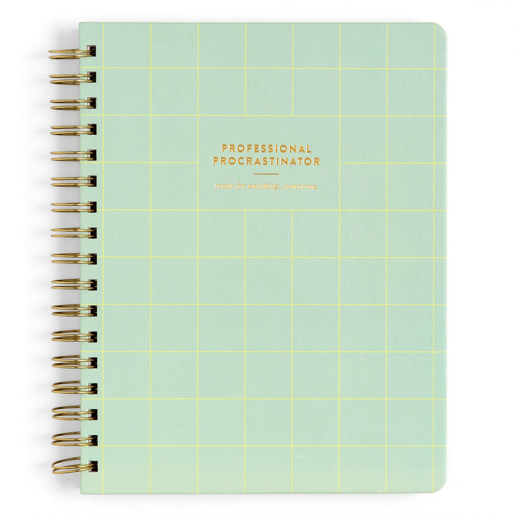 Professional Procrastinator Spiral Notebook | Studio Calico