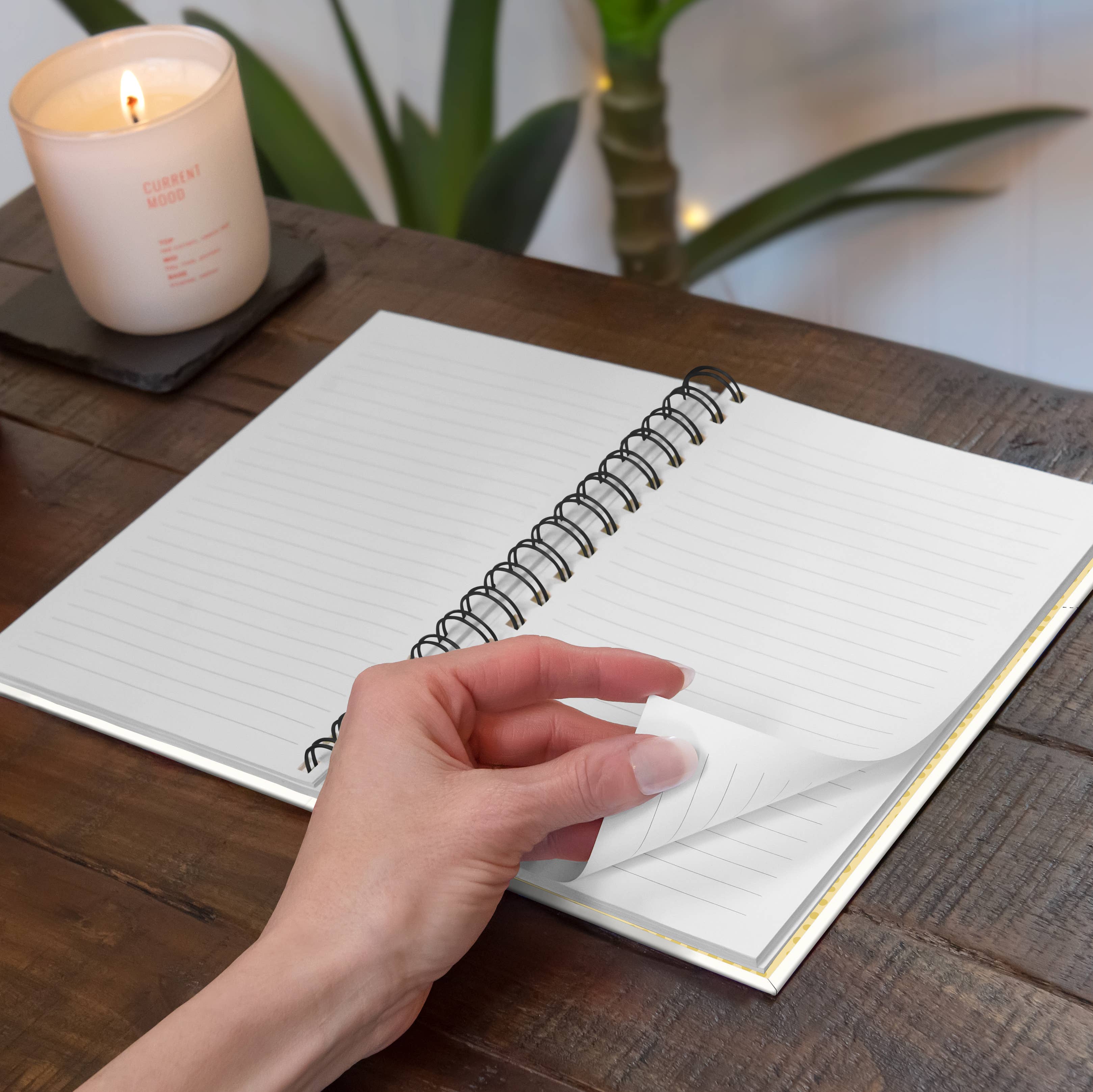 Don't Worry Bee Happy Spiral Notebook by Studio Oh!