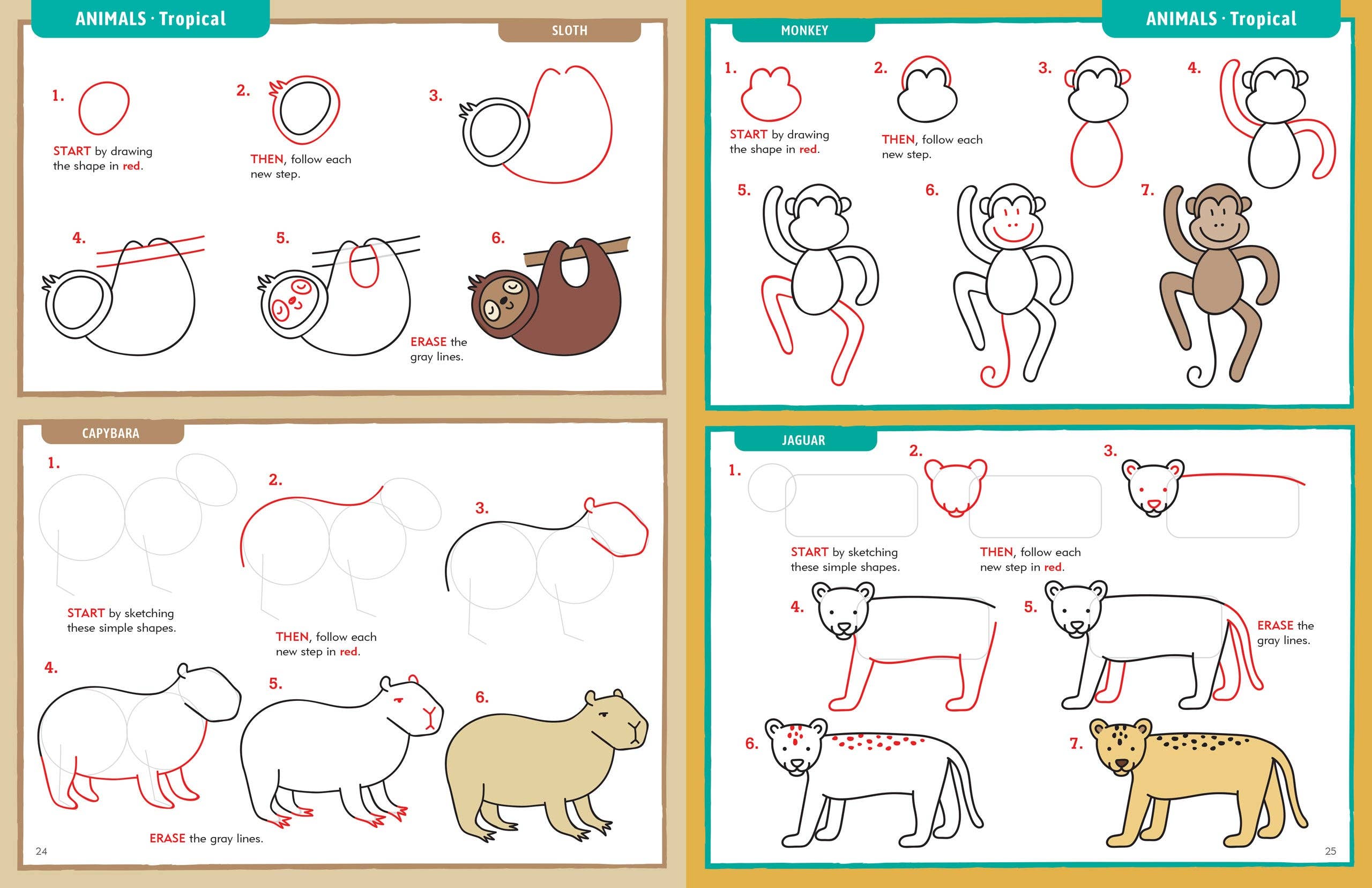 Learn to Draw Everything | Peter Pauper Press