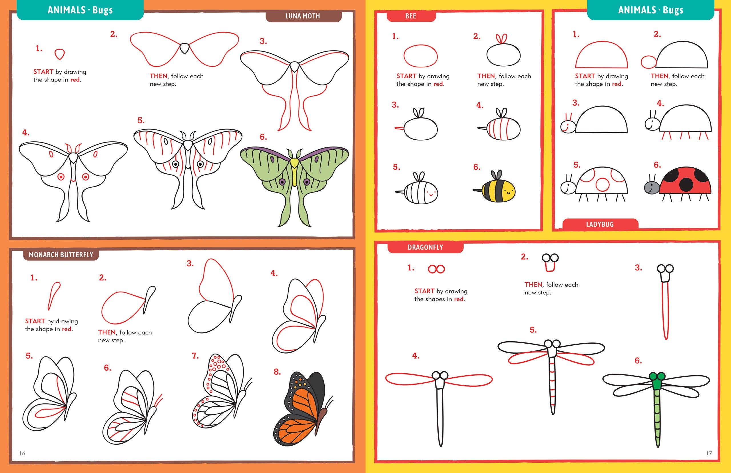 Learn to Draw Everything | Peter Pauper Press