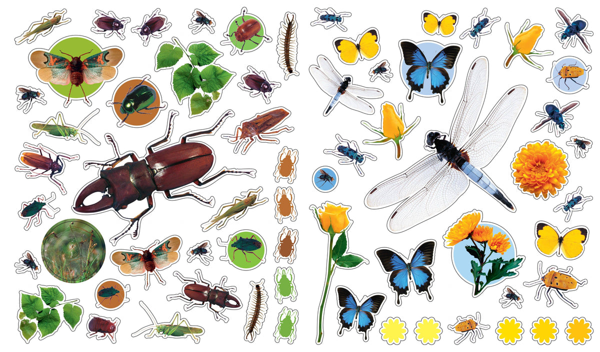 Eyelike Stickers: Bugs Reusable Sticker Book
