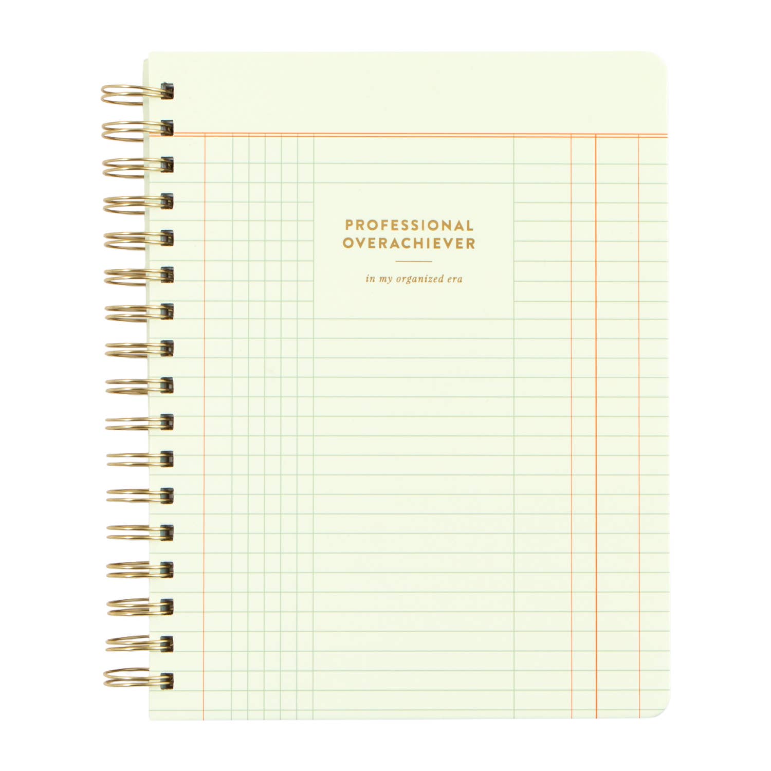 Professional Overachiever Spiral Notebook