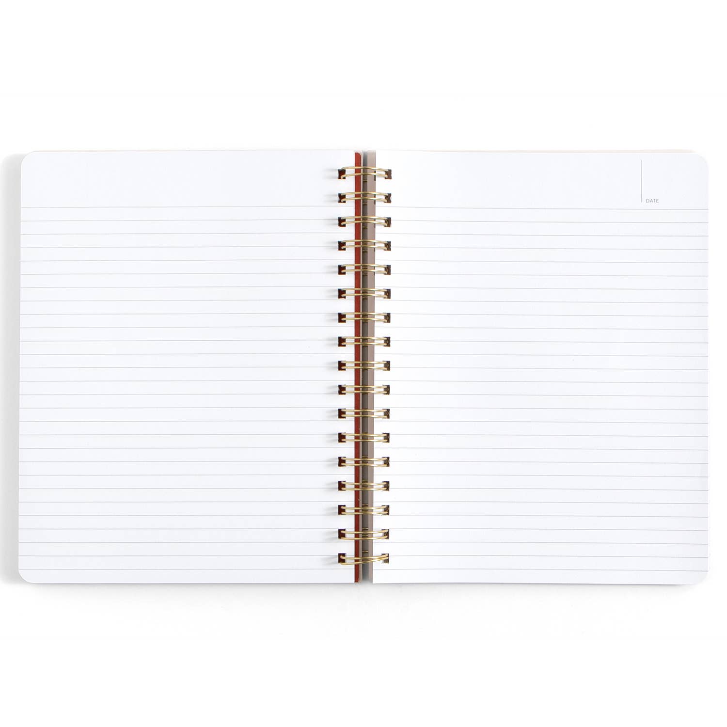 Professional Overthinker Spiral Notebook
