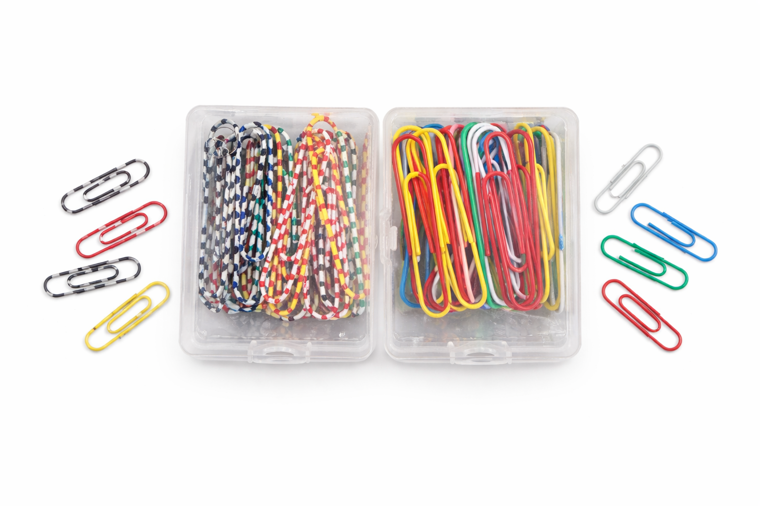 Preppy Paper Clips in Zebra & Primary Colors | Miller & Clove