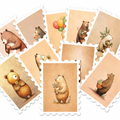 Cute Bear Illustration Stickers Pack - 36 count