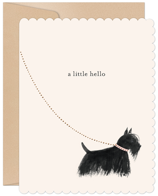 A Little Hello Card Set
