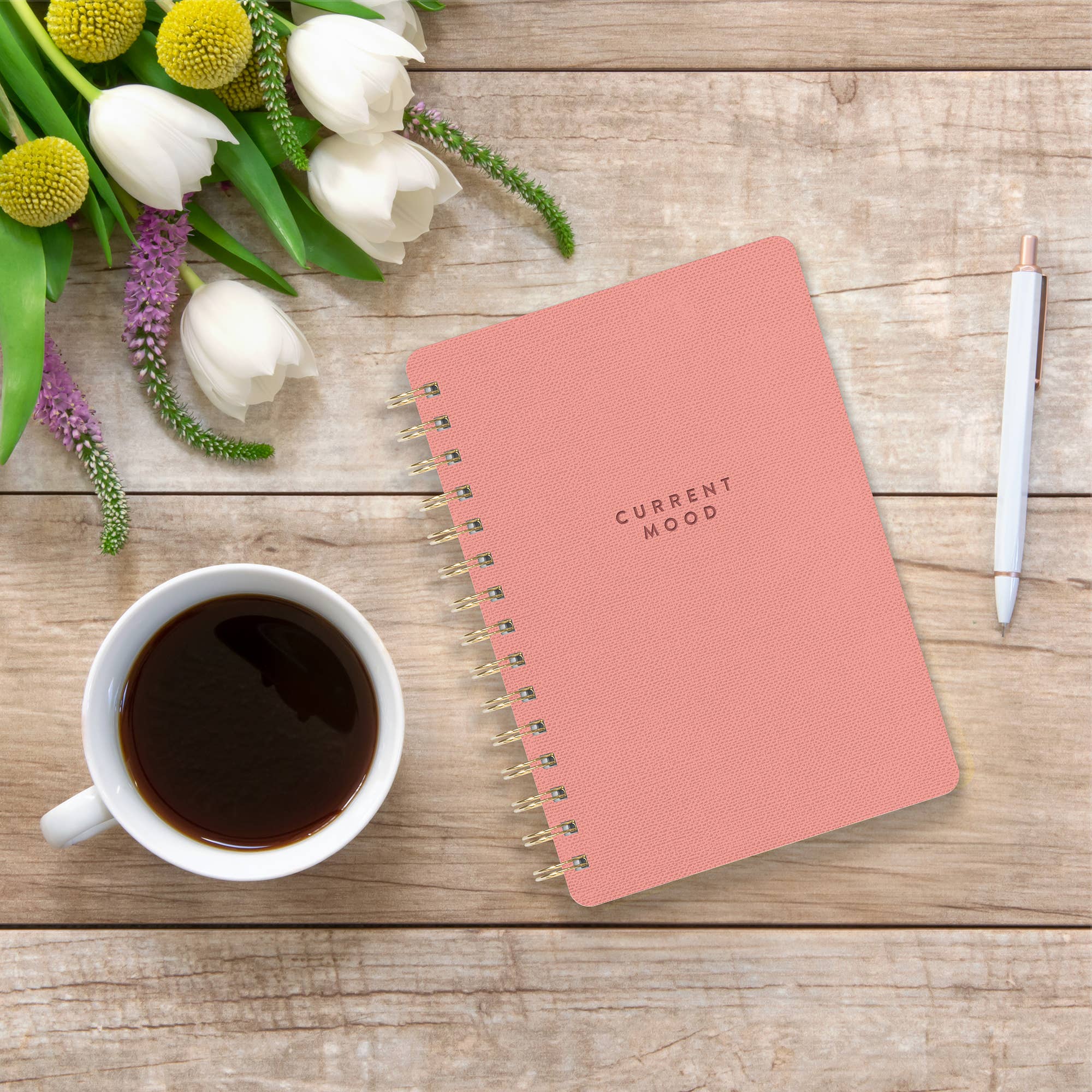 Agatha Notebook | Current Mood in Coral Pink