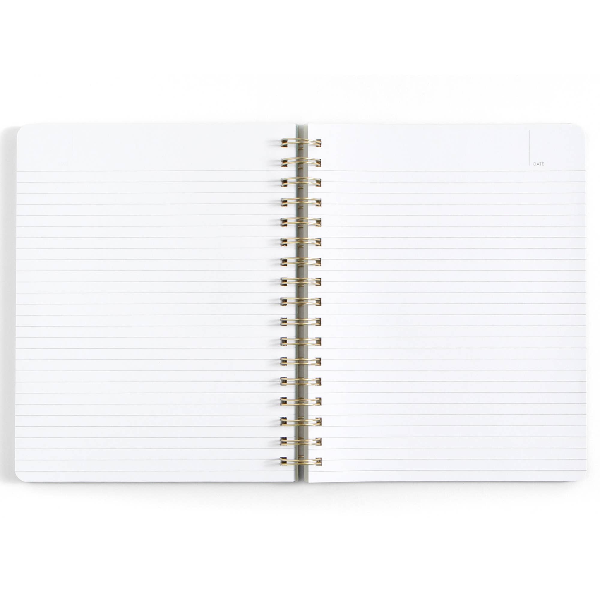 Professional Overachiever Spiral Notebook