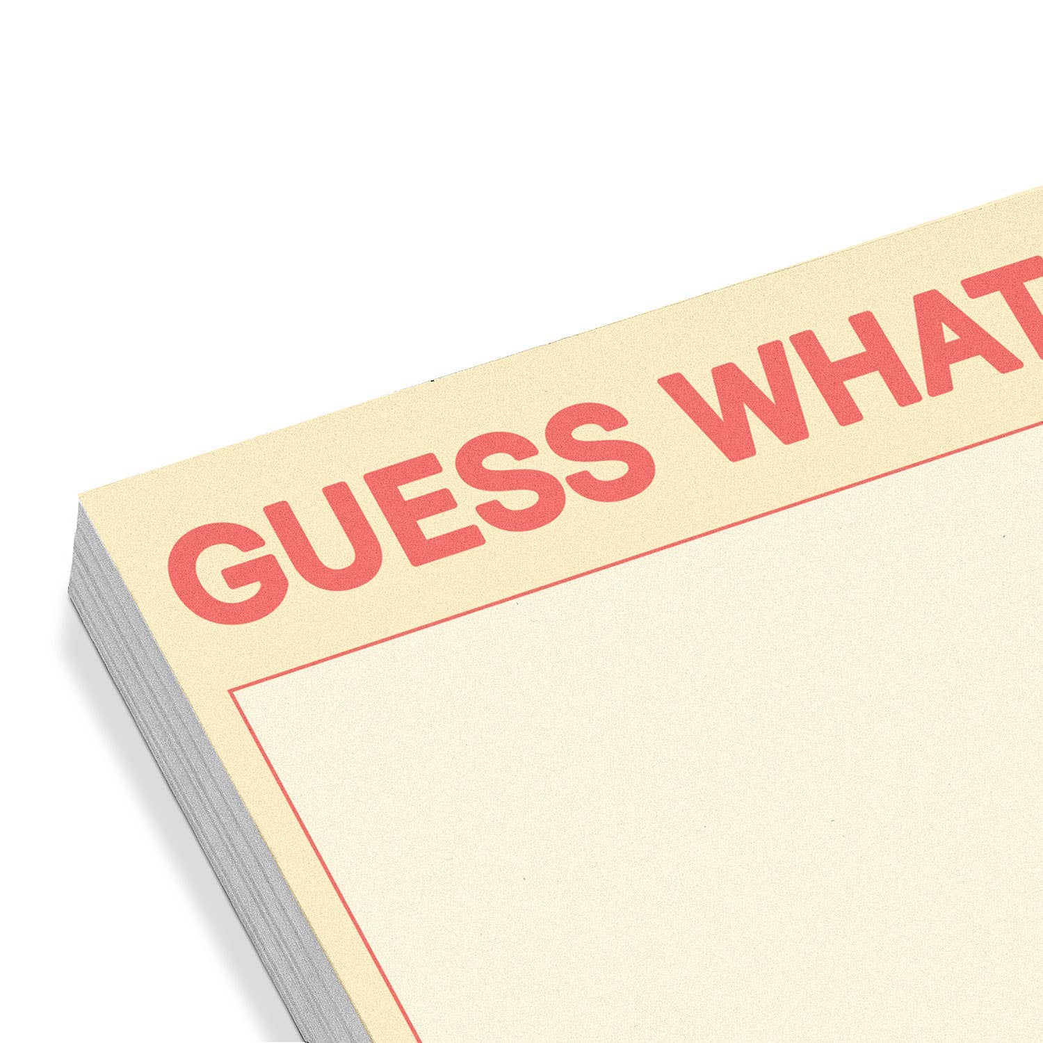 Guess What? Sticky Notes | Funny Novelty Notepad by Knock Knock