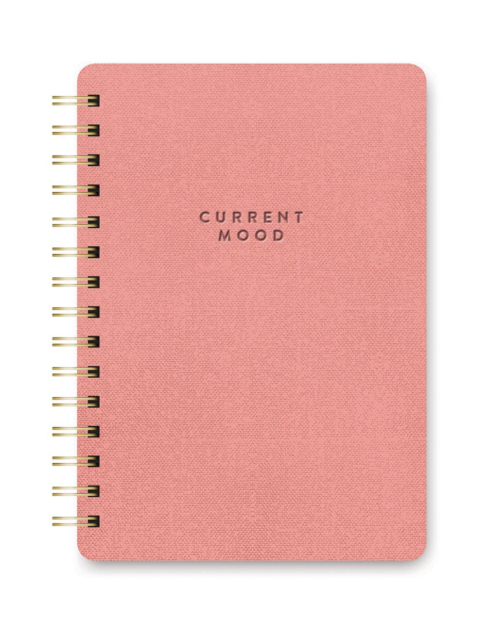 Agatha Notebook | Current Mood in Coral Pink