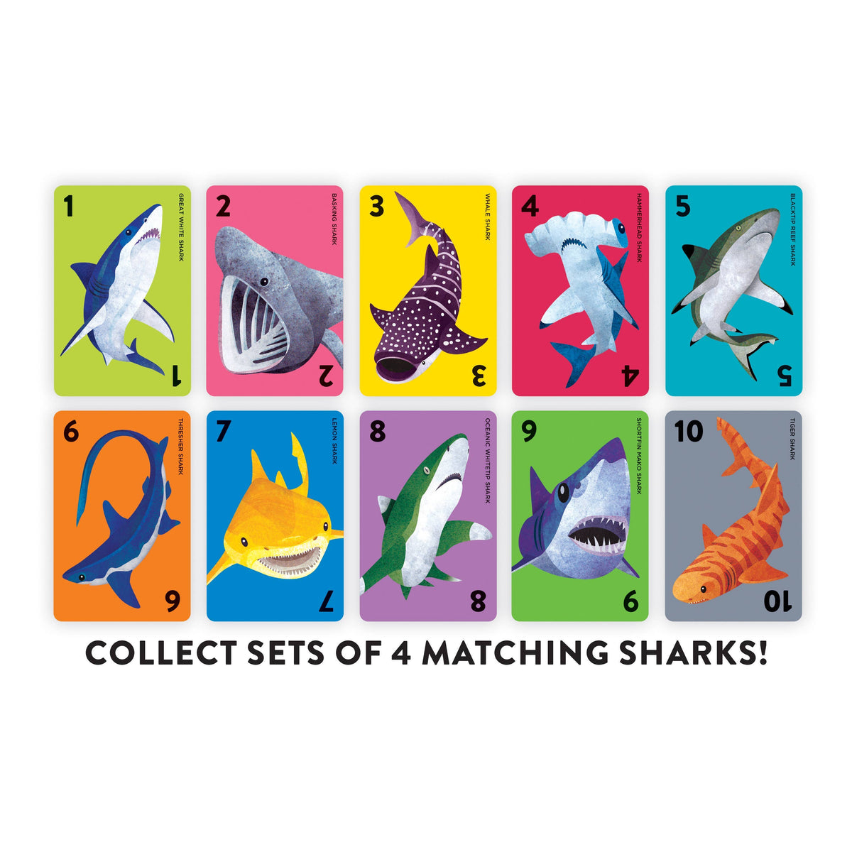 Go Shark! Card Game by Mudpuppy – A Fun Ocean-Themed Go Fish Game for Kids