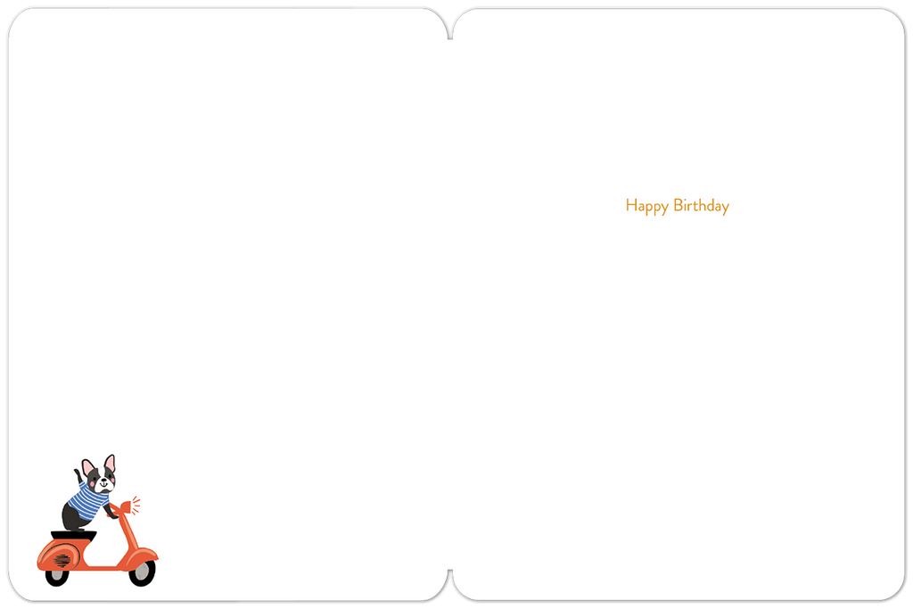 You're on a Roll Dogs on Colorful Scooters Birthday Card