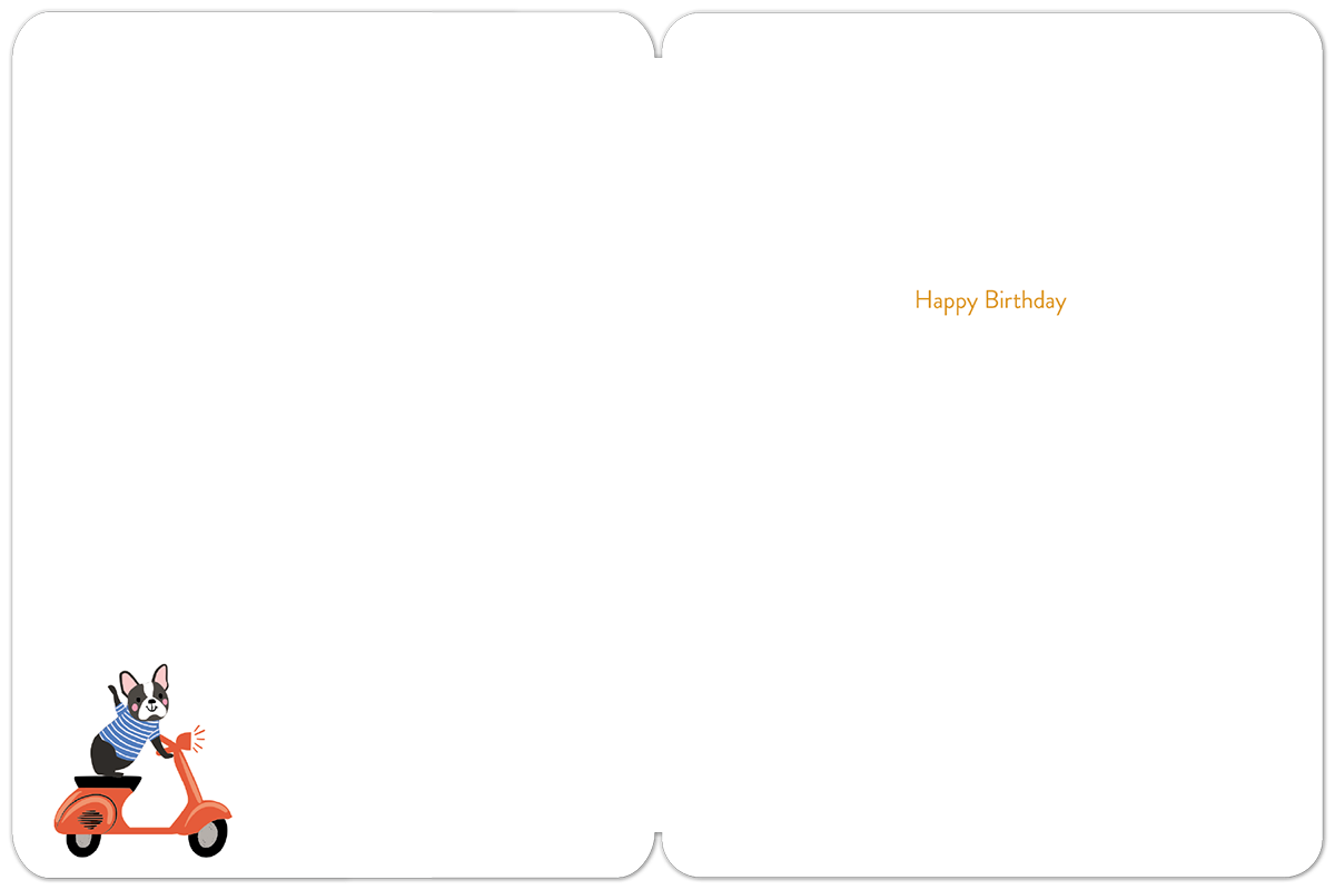 You're on a Roll Dogs on Colorful Scooters Birthday Card