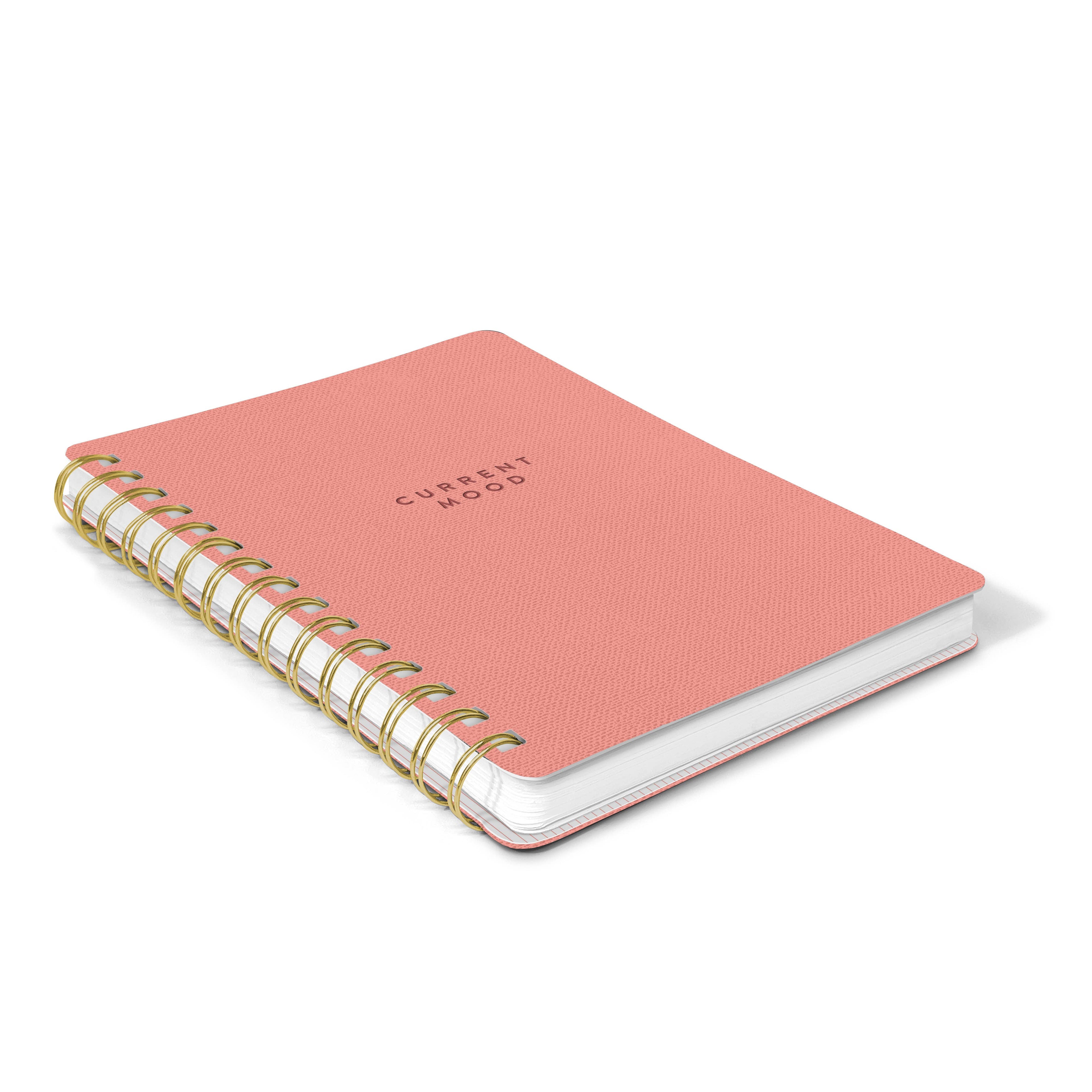 Agatha Notebook | Current Mood in Coral Pink